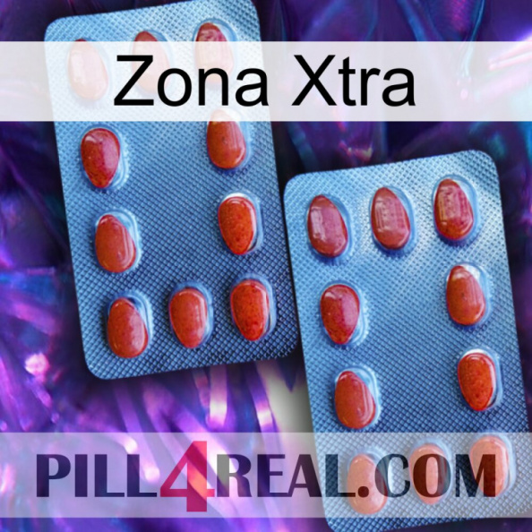 Xtra Zone 05.jpg